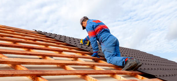 Best Roof Leak Repair  in Clare, MI