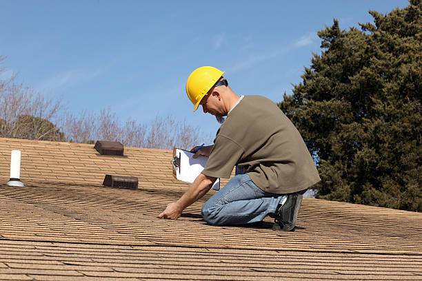 Best Roof Maintenance and Cleaning  in Clare, MI