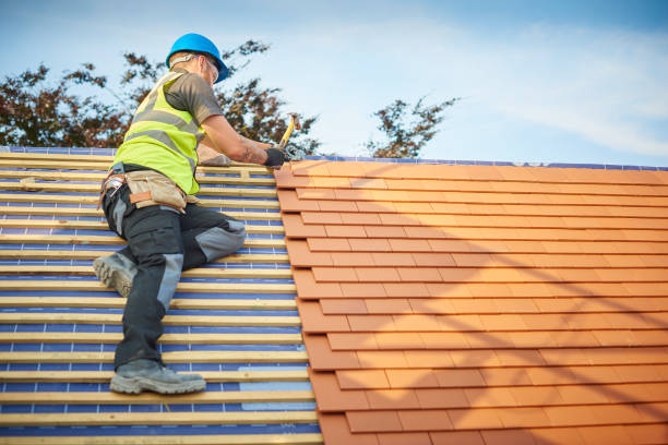Best Cold Roofs  in Clare, MI
